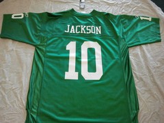 DESEAN JACKSON #10 PHILADELPHIA EAGLES ADULT REEBOK NFL REPLICA JERSEY FREE SHIP