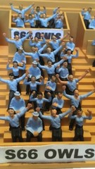 50 FANS FOR SUBBUTEO/ZEUGO(ALL TEAMS AVAILABLE.SEE PHOTOS)