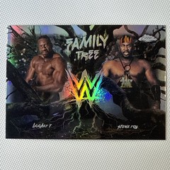 FAMILY TREE 2026 Topps Chrome WWE Wrestling Cards You Pick/Choose! READ*