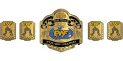 Customize Title Belt Customize your belt according to your need. 4mm Adult Size