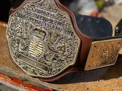 BIG GOLD World Heavyweight Championship Replica Tittle Belt Brown 6MM DieCasting