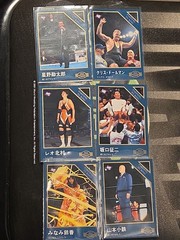 1995 BBM Pro Wrestling Farewell To Ring Card Set 218–223 Japan Insert WWE WWF