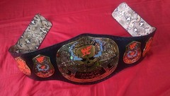 Smoking Skull Stone Cold World Heavyweight Championship Belt snake skin backing