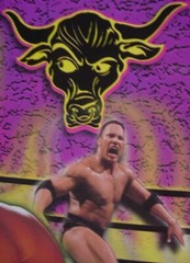 The Rock Stone Cold Steve Austin Ricky Steamboat Lenny Hurst Wrestling photo