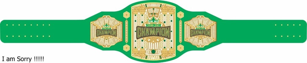 New Customize Crown Jewel Championships Belt. 2mm Adult Size