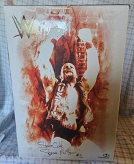 WWE McFarlane Stone Cold Steve Austin Resin Statue With Box Rare /500 See Descr.