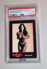 1993 Cindy Crawford Big Brother Skateboarding Magazine PSA 4 Low Pop 1 Vtg RC