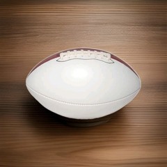 White Panel Football For Autographs Mid Size 9 Inches – Two Panel Size 9&Prime; NEW