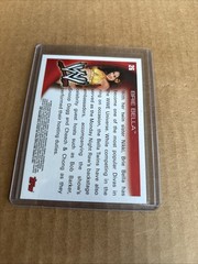 2009 Topps WWE #77 Brie Bella RC Rookie Card (f5)