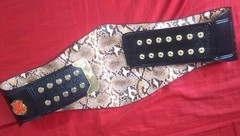 Smoking Skull Stone Cold World Heavyweight Championship Belt snake skin backing