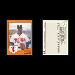 Rich Garces #1076 1989 ProCards Minor League Team Sets Kenosha Twins Baseball NM