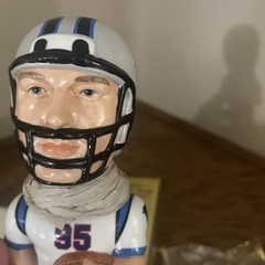 1995 Carolina Panthers Limited Edition Bobblehead Sam 760/1000