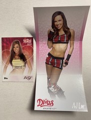 WWE : AJ LEE = DIVAS Class Of 2012 & DIVAS SNAPSHOT ( 2 Card Lot )