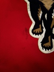 Pro Player NHL Florida Panthers Hockey Jersey XXL Red Navy Yellow White