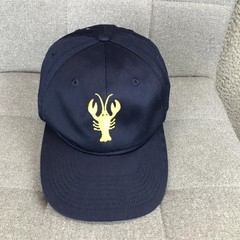 Michigan Wolverines Hat Cap Strap Back Mens One Size Blue NCAA Port Authority