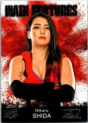 Hikaru Shida Wrestling Upper Deck NM