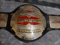 TNA X division Championship Belt Adult Size 2mm Brass
