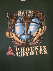 Vintage 1998 Phoenix Coyotes Taz Face Mask Nutmeg T-Shirt Looney Tunes NWT NHL