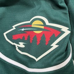 Eric Staal Iowa Wild CCM AHL Hockey Jersey – Large