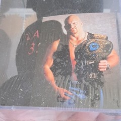 1999 Titan Sports WWF Stone Cold Steve Austin Attitude Bear (Sealed)