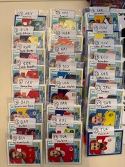 2026 Panini World Cup Stickers Pick Your Code Algeria-Egypt + Coca-Cola
