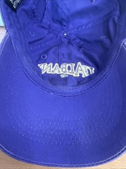 UAlbany Great Danes Hat Purple Adjustable Snapback Cap ML Caps University Albany
