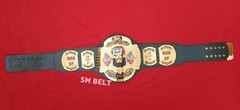 Jay Briscoe ROH world Heavyweight Championship Wrestling Title Belt Tribute Belt