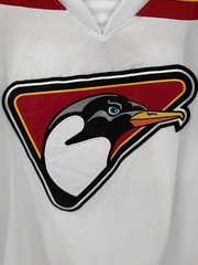 Dallas Penguins #2 Minor League AK Hockey Jersey Adult Medium Made In Canada