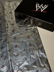 Ultra Rare World Wrestling Entertainment (WWE) Computer Accessory Set with MOUSE