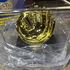 SAFTGARD GOLD GLOVE BLACK ACRYLIC DISPLAY CASE! STG Supplies PN# AD13