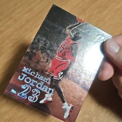 Michael Jordan skybox molten metal 141