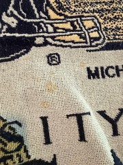 Michigan Wolverines Go Blue Woven Throw Blanket/Tapestry w/ Fringe