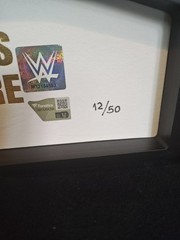 WWE Elimination Chamber Perth Mini Belt Autograph Rhea Ripley 12/50 COA