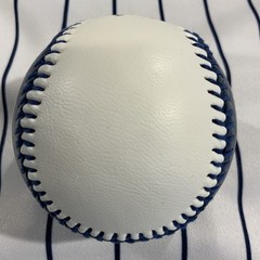 Trimingham’s Bermuda Department Store Since 1842 Souvenir Baseball Ball