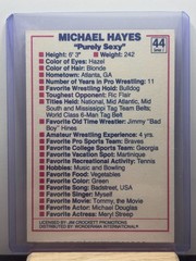 1988 Wonderama NWA Wrestling Michael Hayes #44