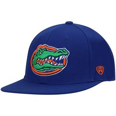 Men&rsquo;s Top of the World Royal Florida Gators Team Color Fitted Hat