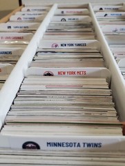 (30) Sports Card Dividers With 30 FREE MLB Team Logo Labels
