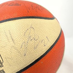 Phoenix Mercury 2016 Team Signed Basketball Spalding WNBA Official Game Ball
