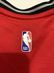 Fanatics Pascal Siakam TORONTO RAPTORS NBA Active Womens JERSEY S R G1N