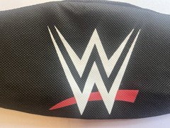Rare WWE Divas Championship Mini Replica Title Belt Authentic WWF Womens + Cover
