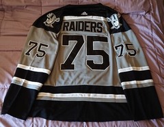 Brand New Raiders NFL Silver & Black Hockey Jersey. Any size, name and number