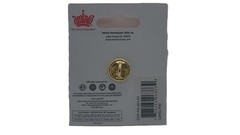 UCF Central Florida Knights Lapel Pin (Officially Licensed Product)