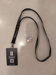 FIFA World Cup 2026 Lanyard, FIFA Fan ID Card And Trionda Pin