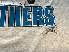 Vintage 1993 Nutmeg Carolina Panthers NFL Break Through T-Shirt Men&rsquo;s XL