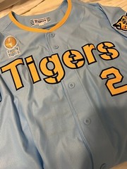 NEW MIZUNO Japan NPB HANSHIN TIGERS Baseball Jersey Sky Blue #2 Umeno XL