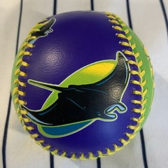 Tampa Bay Devil Rays 1998 Play By Play Purple Neon Green Souvenir Baseball Ball