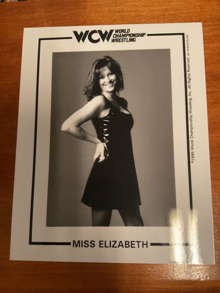 wcw NWO miss elizabeth 8×10 art print photo wrestling wwe