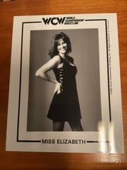 wcw NWO miss elizabeth 8×10 art print photo wrestling wwe