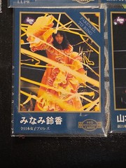 1995 BBM Pro Wrestling Farewell To Ring Card Set 218–223 Japan Insert WWE WWF