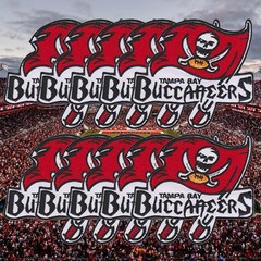 10 Tampa Bay Buccaneers Football Logo Size 3.5 in x 3.2 in Sew Iron on Patches